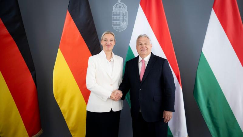 Orbán Viktor mára a jobboldali nemzetközi együttműködés kulcsfontosságú alakjává vált, akinek hatása és jelenléte mindenütt érezhető.