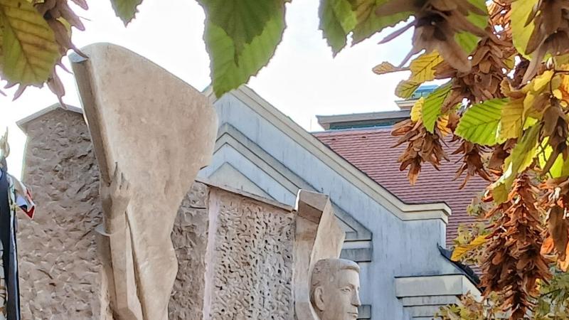 Nézzük meg újra ezt a különleges arcot, és tegyünk meg mindent, amit csak tudunk, hogy megőrizzük! (galéria, videó)