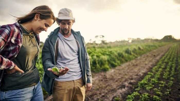 A fiatal gazdák számára óriási támogatás érkezik, amely számos területen pozitív változásokat hozhat.