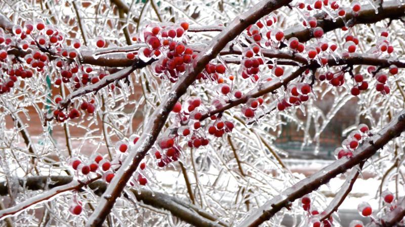 Ónos eső várható a hétfőn Heves térségében? Íme, hogyan alakul az időjárás a következő napokban!