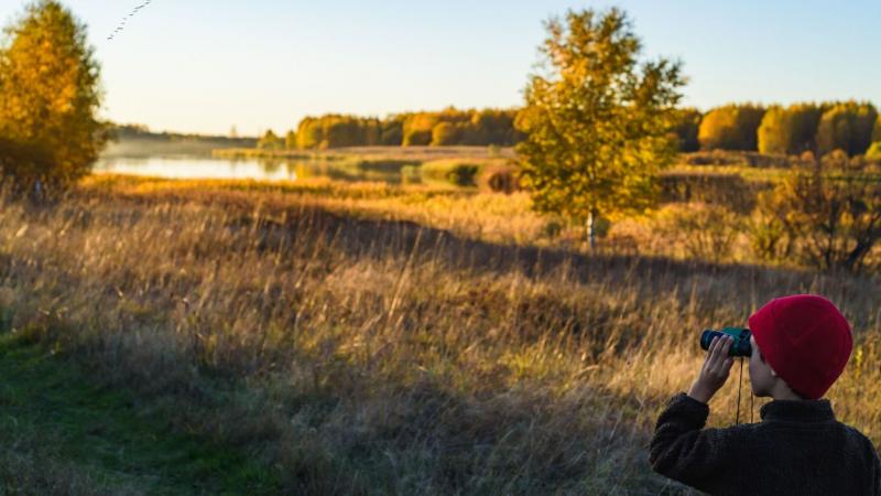 Szerdán újabb esőzések, erős szél és hűvös idő várható Szegeden – ne felejts el felkészülni!