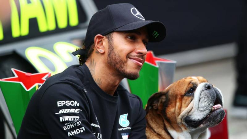 Lewis Hamilton mély gyászban van: elhunyt szeretett kutyája, Roscoe.