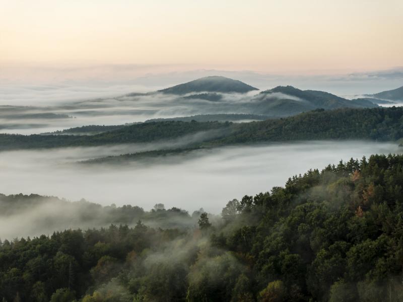 A hét végéig valószínűleg még mindig a szürke, ködös időjárás fog uralkodni, de legalább a fagyos hőmérsékletektől megkímél minket.